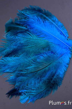 Grue - 10-14 cm - turquoise-gris 